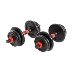 Everlast Dumbbell Set