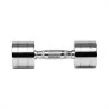 Everlast Chrome Dumbbell